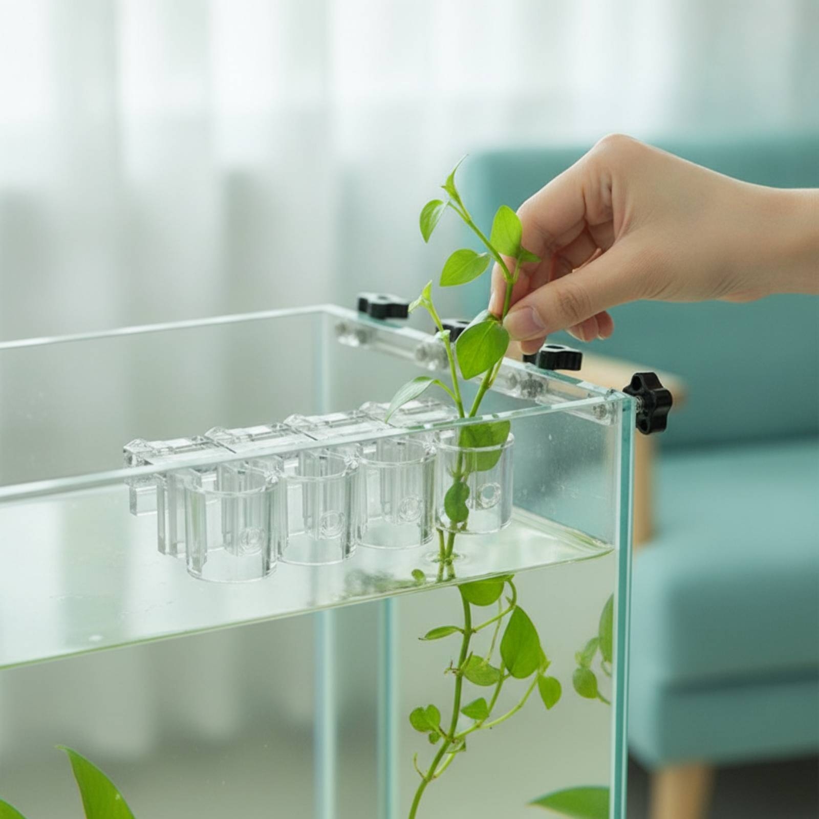 Aquarium Plant Original - 6 sztuk przezroczystych klipsów do hydroponiki