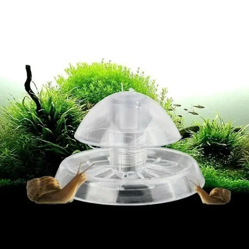 Aquarium Planting Ideas - 2026 Nowa przezroczysta plastikowa pułapka na