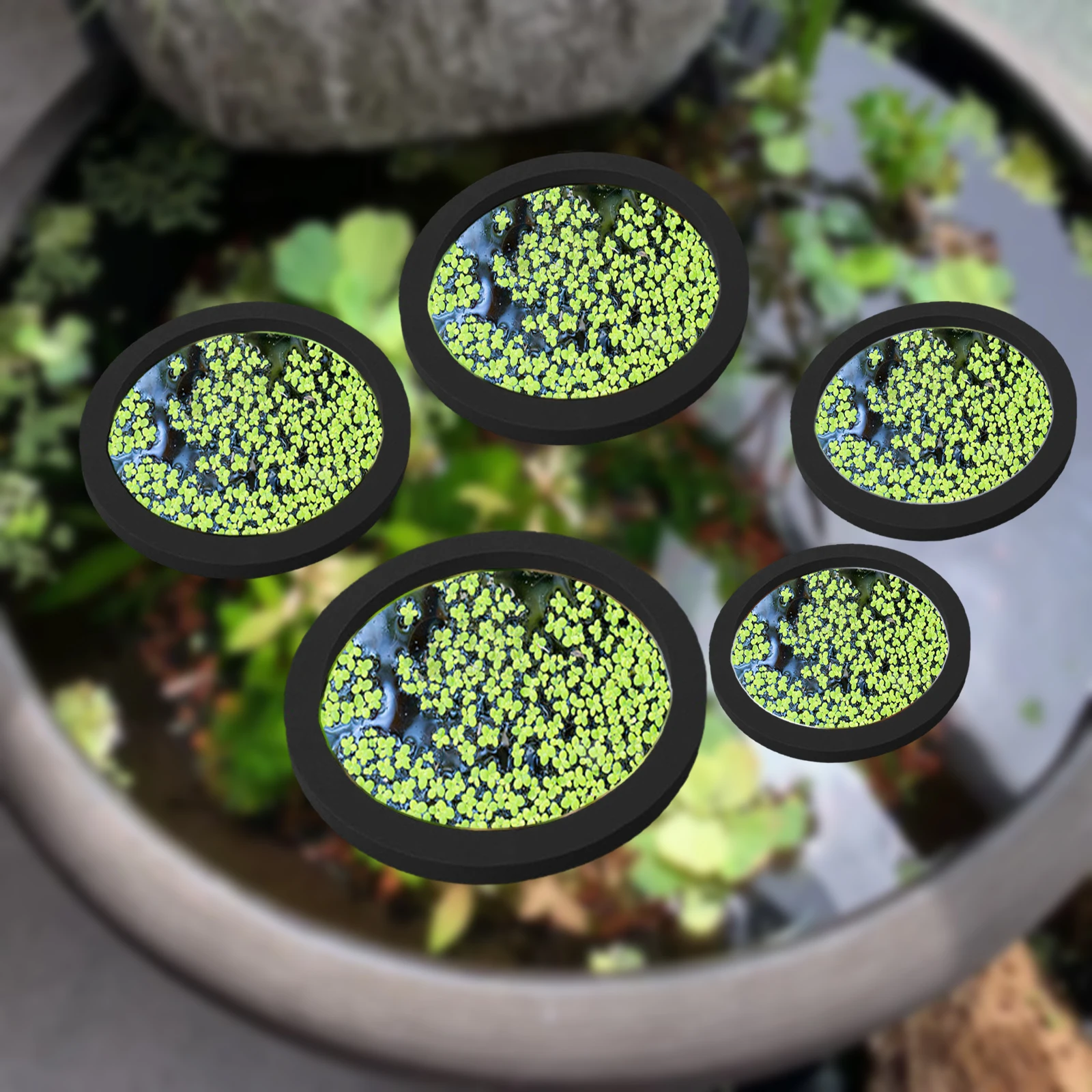 Aquarium Planting Ideas - 5Pcs EVA Pierścień do karmienia ryb