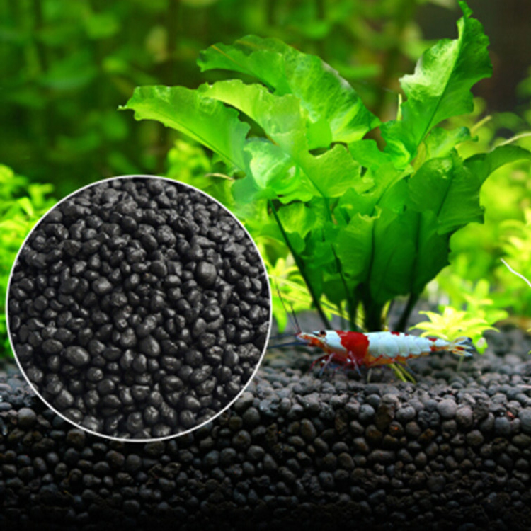 Aquarium Planting Ideas - Roślina akwariowa nasiona gleba akwarium podłoże