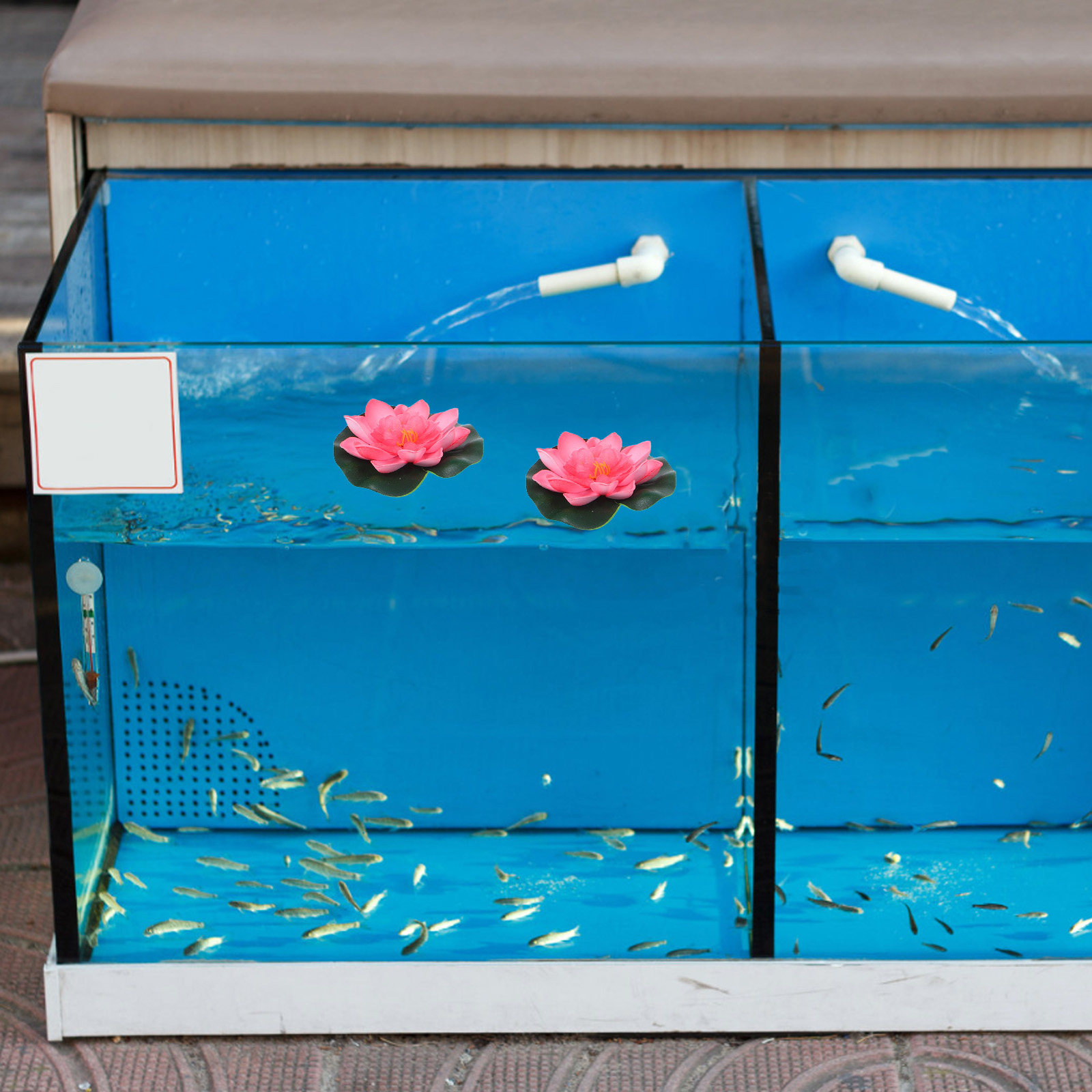 12 szt. sztucznych, pływającyc – Aquarium Plant Original recenzja i cena