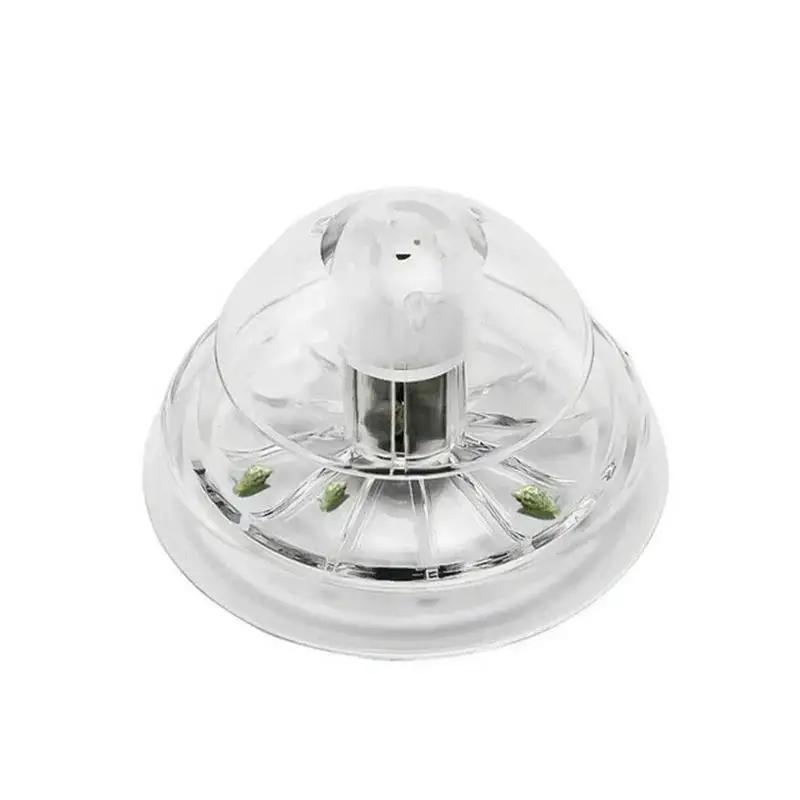2026 Nowa przezroczysta plasti – Aquarium Planting Ideas recenzja i cena