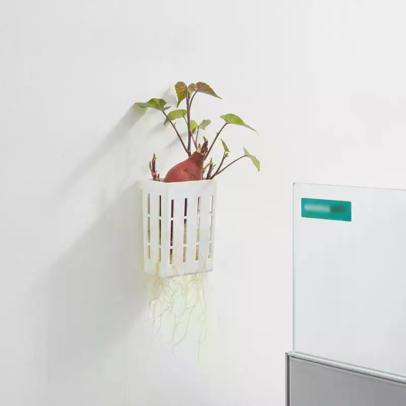 1 szt. Koszyk wspierający do h – Aquarium Plant Original recenzja i cena