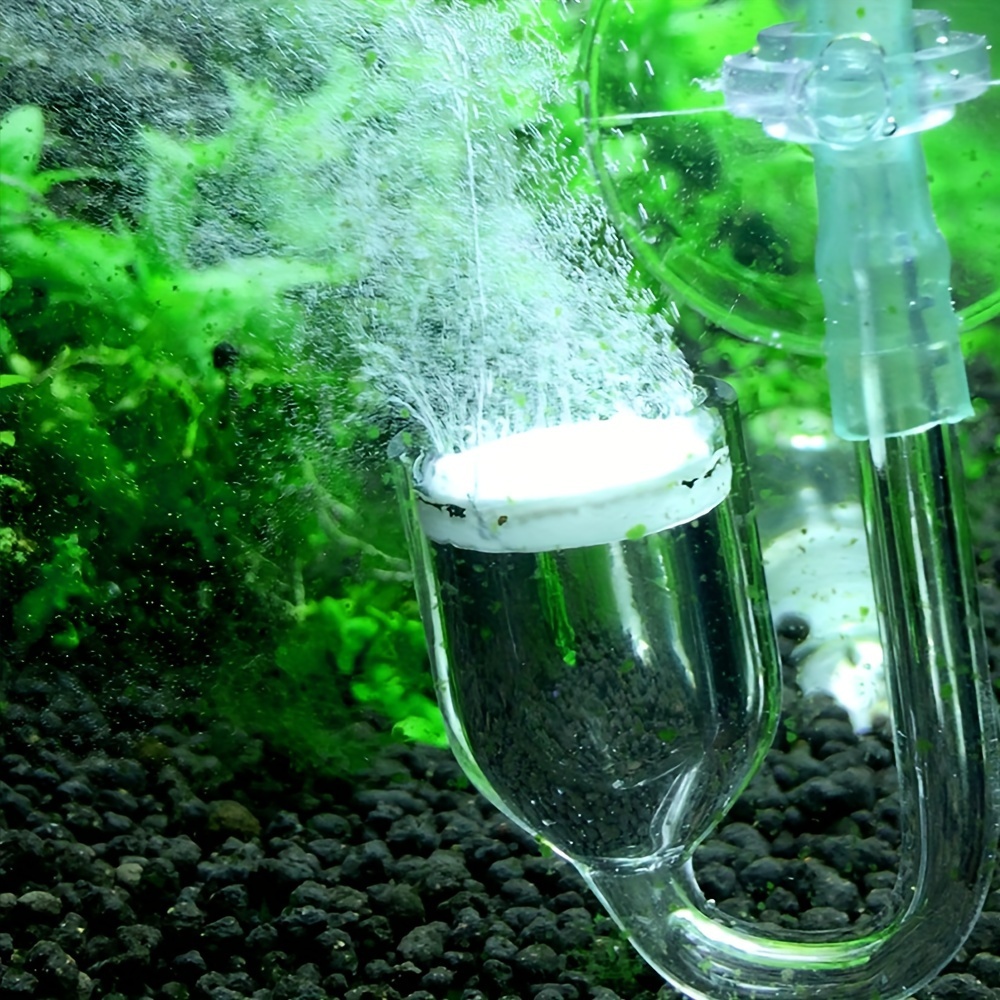 Szklany atomizer CO2 do akwari – Aquarium Planting Ideas recenzja i cena