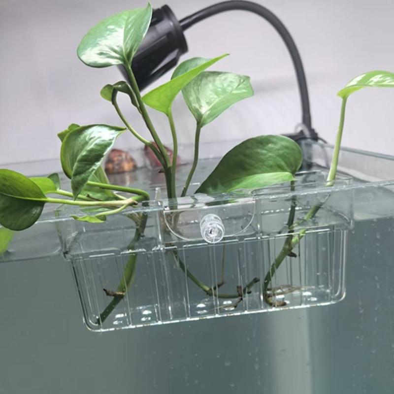Hydroponiczny koszyk na roślin – Aquarium Plant Original recenzja i cena