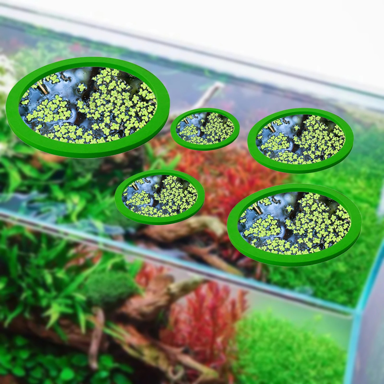 5Pcs EVA Pierścień do karmieni – Aquarium Planting Ideas recenzja i cena