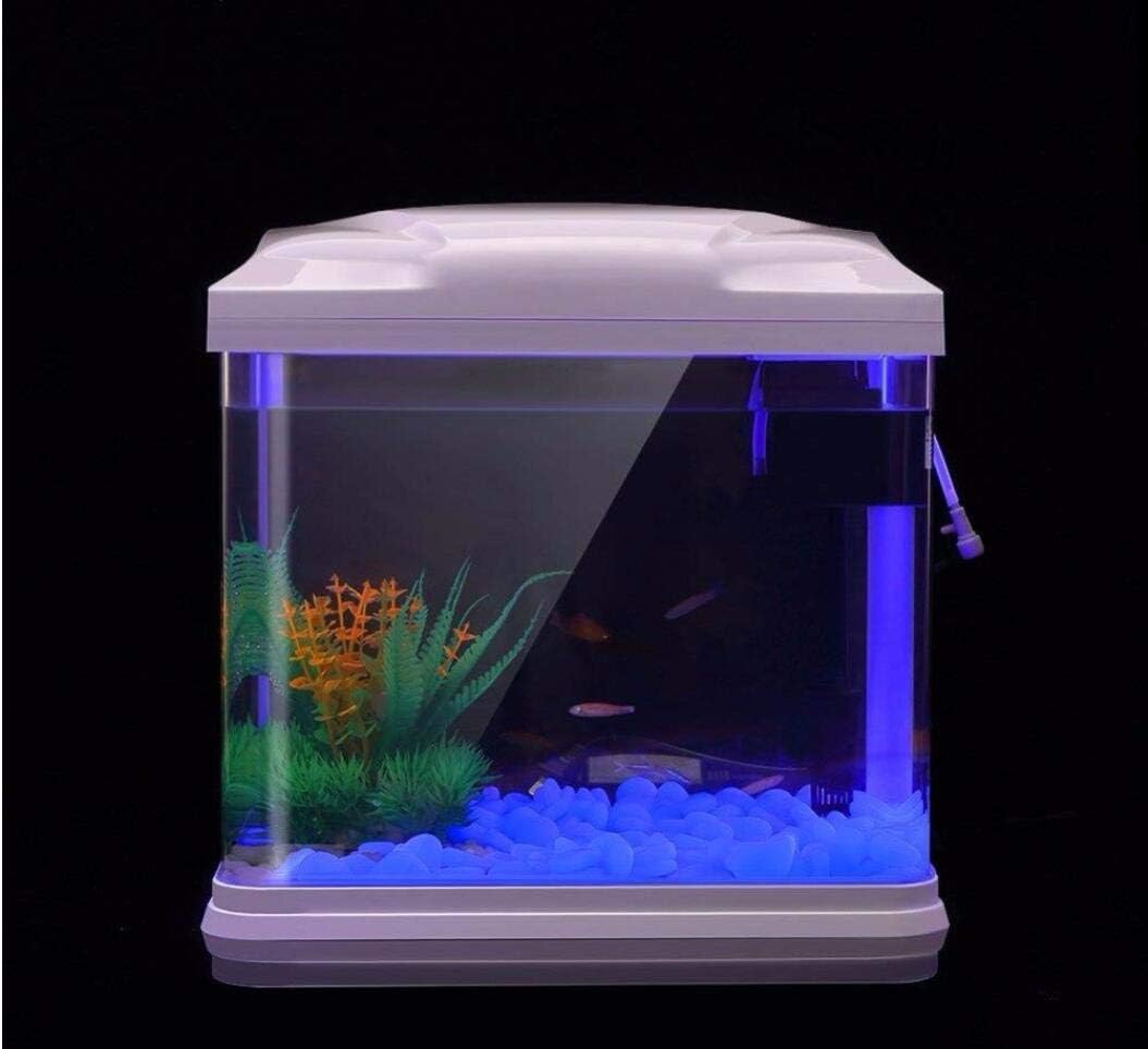 Fish Tank Rocks Glow Blue Pebb – Aquarium Plant Original recenzja i cena