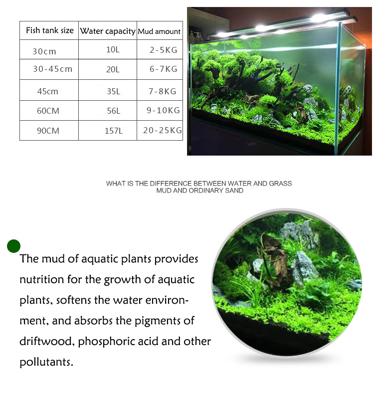 Roślina akwariowa nasiona gleb – Aquarium Planting Ideas recenzja i cena