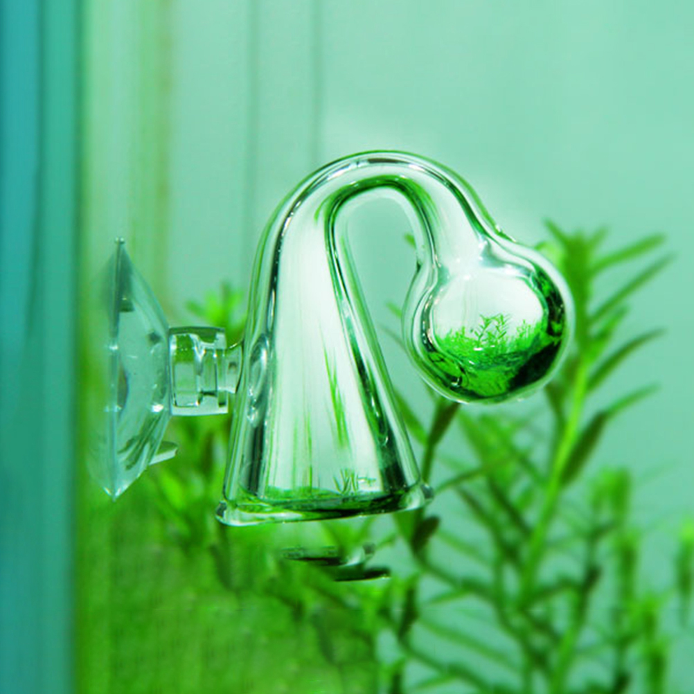 Akwarium CO2 Dyfuzyjny szklany – Aquarium Planting Ideas recenzja i cena