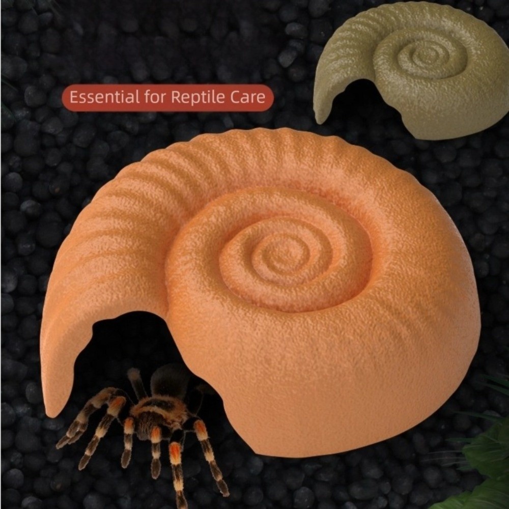 Ammonit w kształcie jaszczury, – Aquarium Planting Ideas recenzja i cena