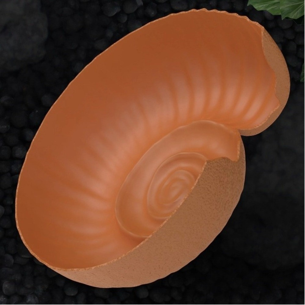 Ammonit w kształcie jaszczury, – Aquarium Planting Ideas recenzja i cena