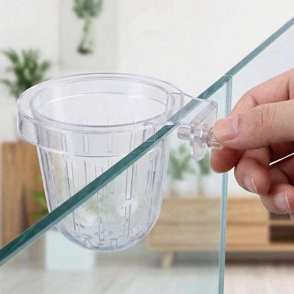 Przezroczysty kubek na trawę d – Aquarium Plant Original recenzja i cena