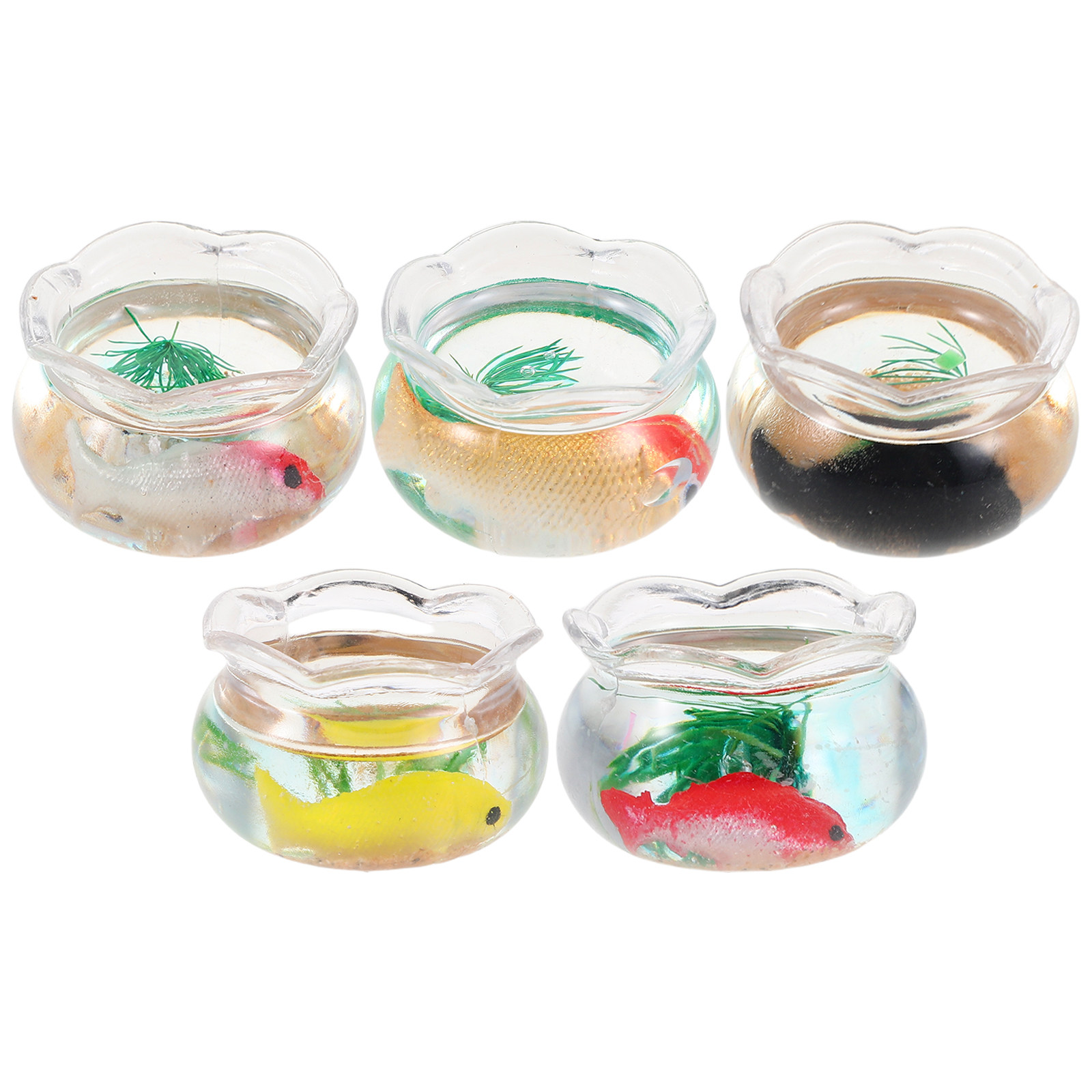 5 szt. miniaturowych akwariów  – Aquarium Plant Original recenzja i cena